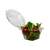 Hinged Salad Bowl Clear 250ML 93x50MM (Case 540)