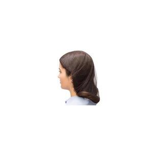 Hairnet Brown (Case 100)