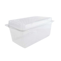 Logged Cake Container 274x224x100M (Case 160)