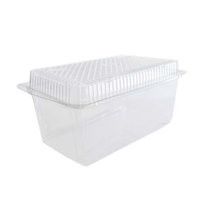 Logged Cake Container 274x224x100M (Case 160)
